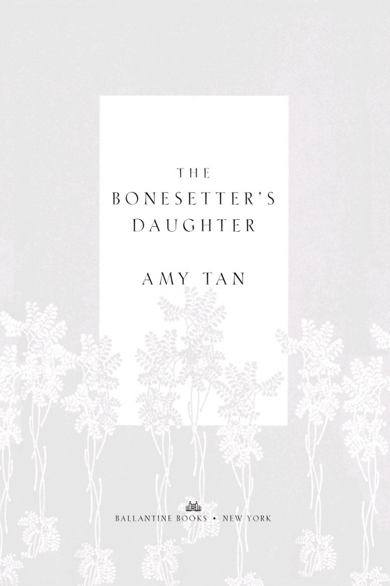the bonesetter's daughter - Ảnh 6