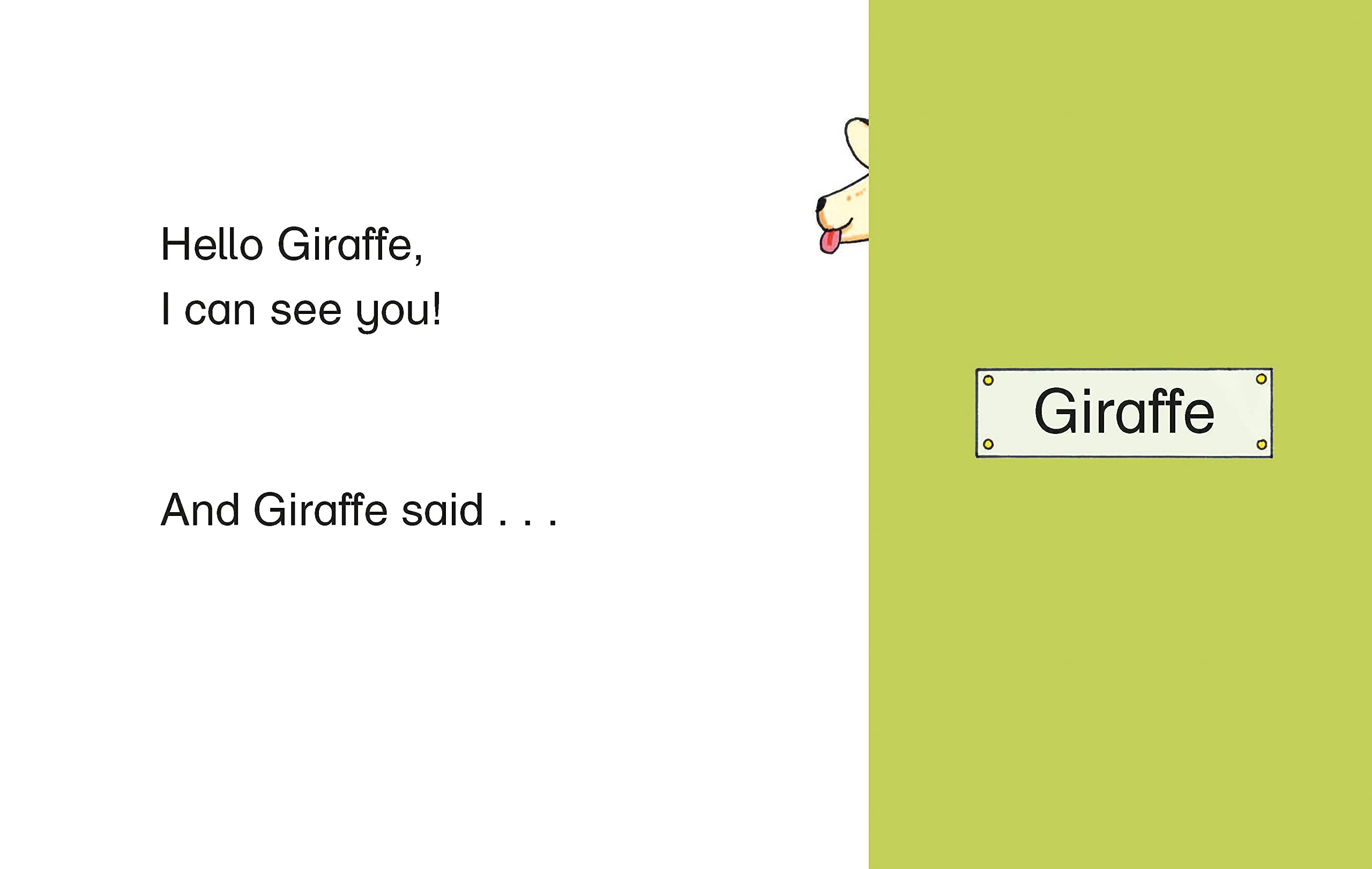 the boo zoo : a peekaboo lift the flap book - Ảnh 5