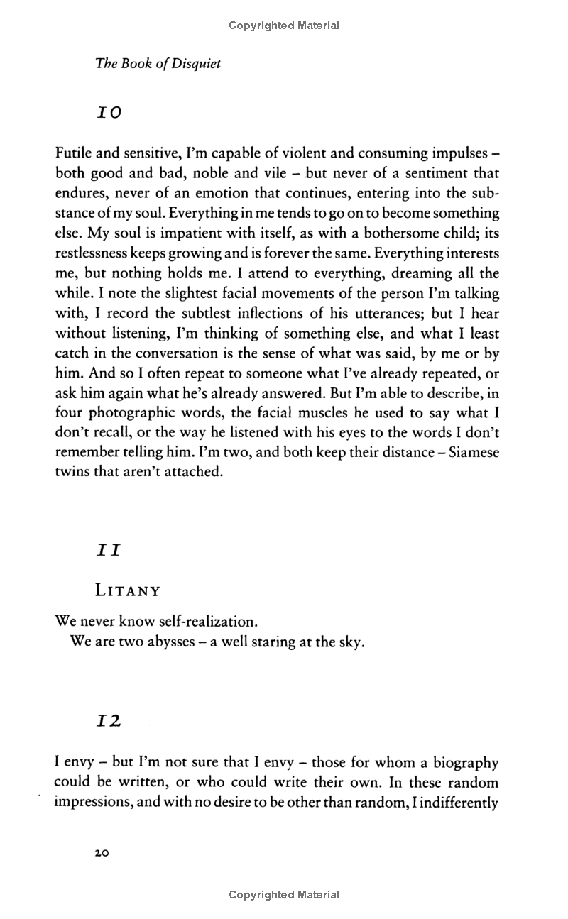 the book of disquiet - Ảnh 13