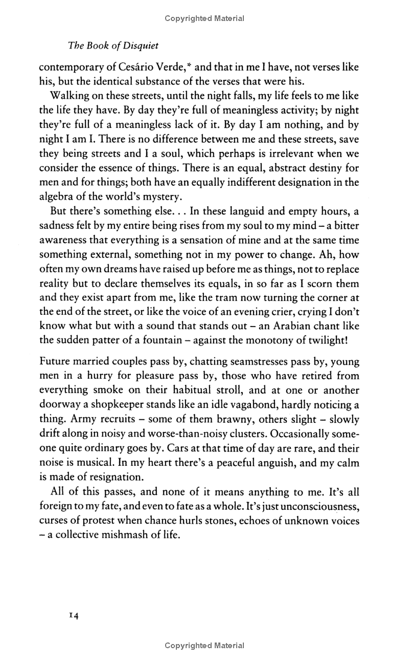 the book of disquiet - Ảnh 7