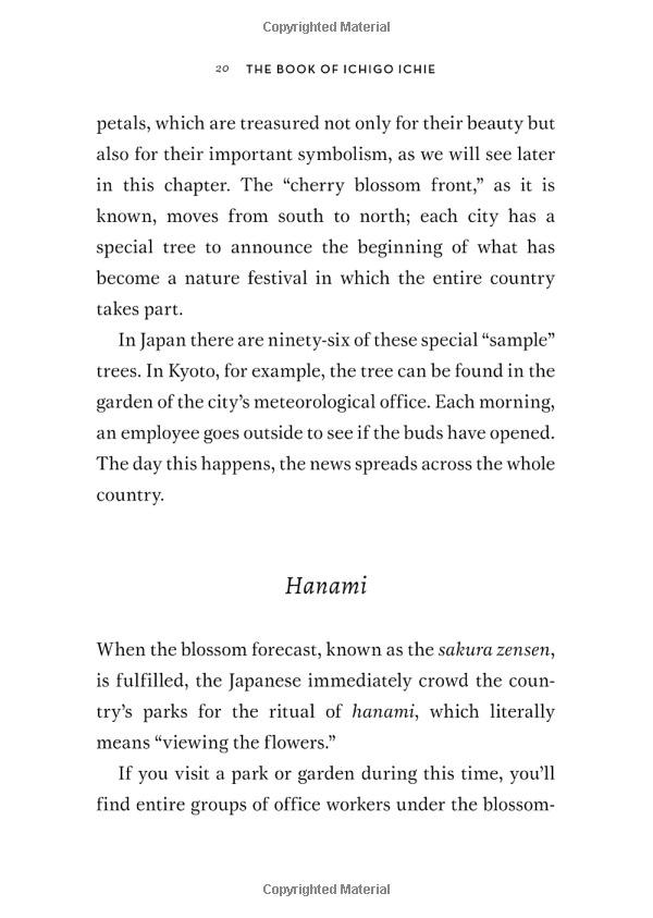 the book of ichigo ichie: the art of making the most of every moment, the japanese way - Ảnh 19