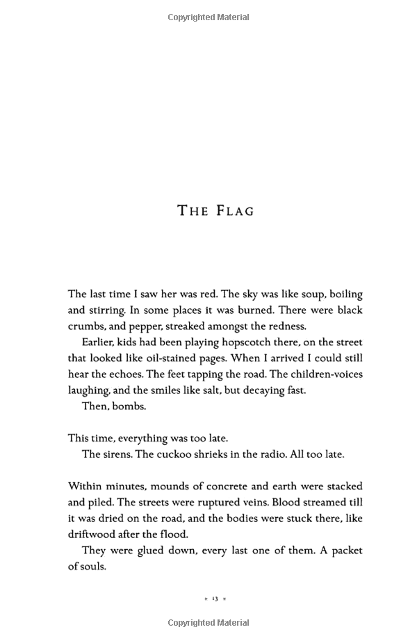 the book thief (definitions young adult) - Ảnh 11