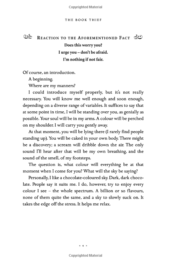 the book thief (definitions young adult) - Ảnh 4