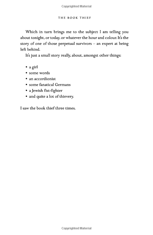 the book thief (definitions young adult) - Ảnh 6