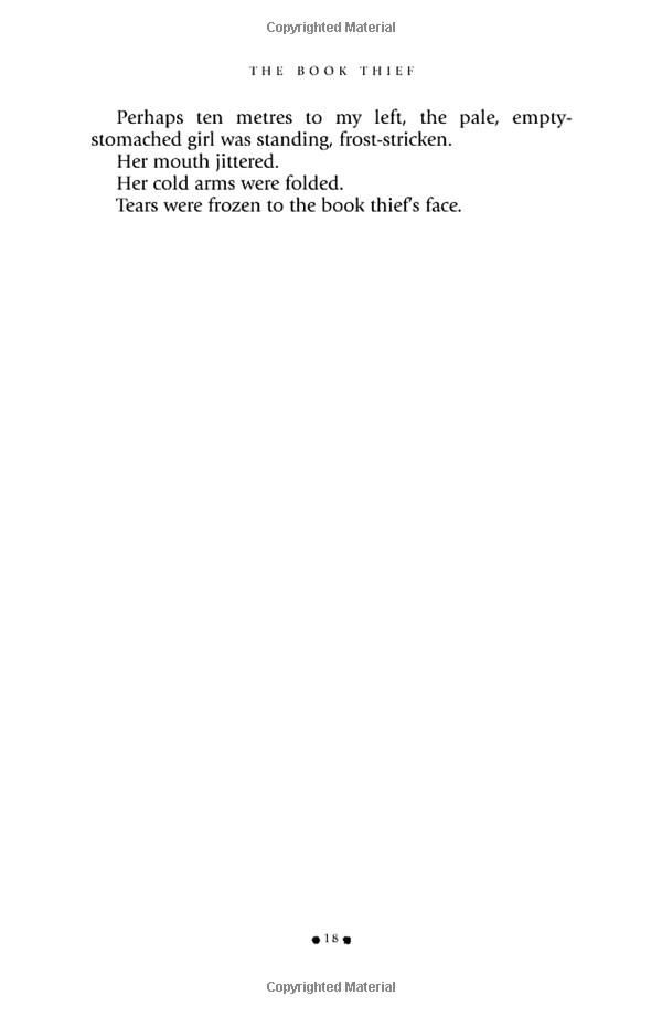 the book thief (movie tie-in) - Ảnh 10