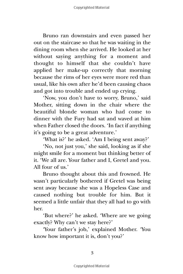 the boy in the striped pajamas - Ảnh 6