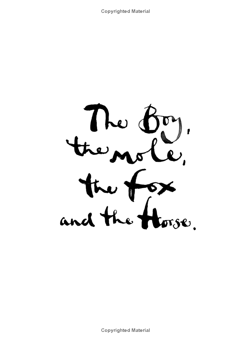 the boy, the mole, the fox and the horse - Ảnh 2