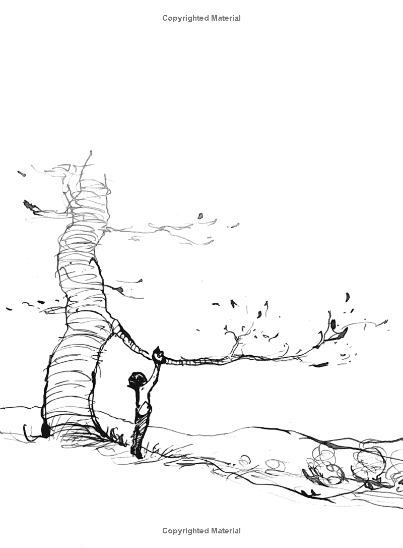 the boy, the mole, the fox and the horse - Ảnh 7