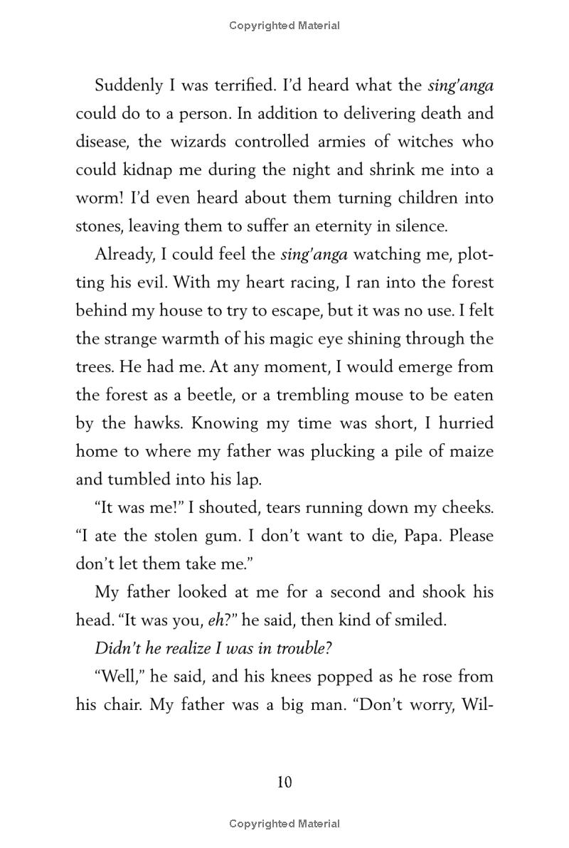 the boy who harnessed the wind - Ảnh 13