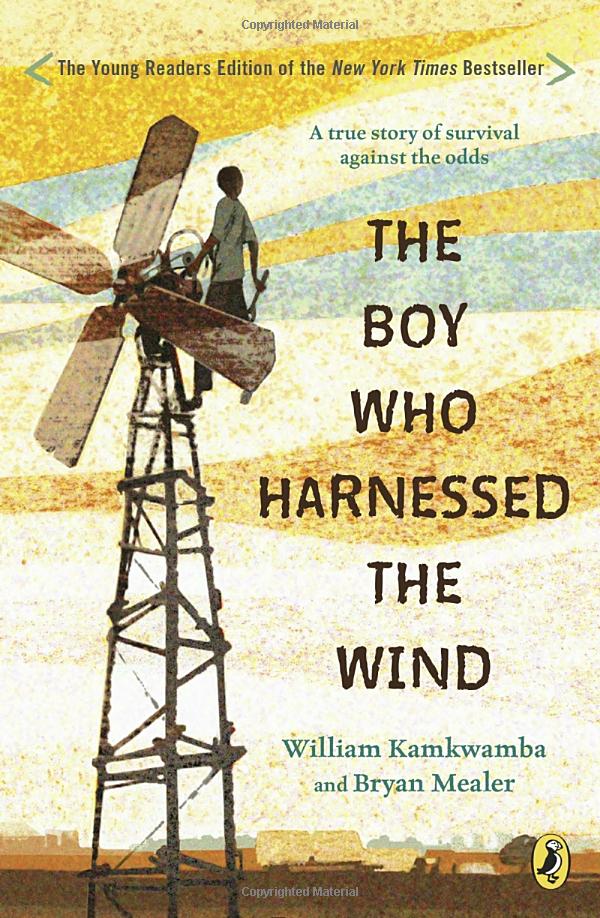 the boy who harnessed the wind - Ảnh 2