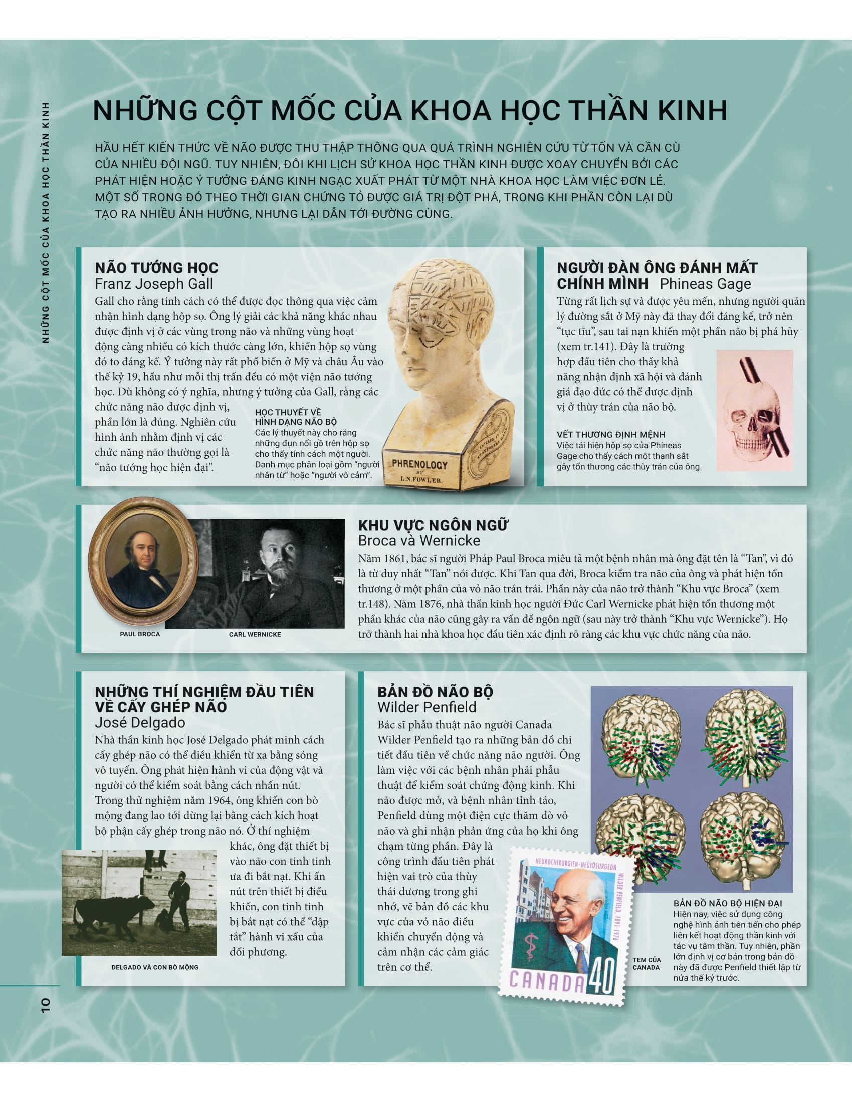 the brain book - não chúng ta có gì và làm gì? - bìa cứng - Ảnh 10