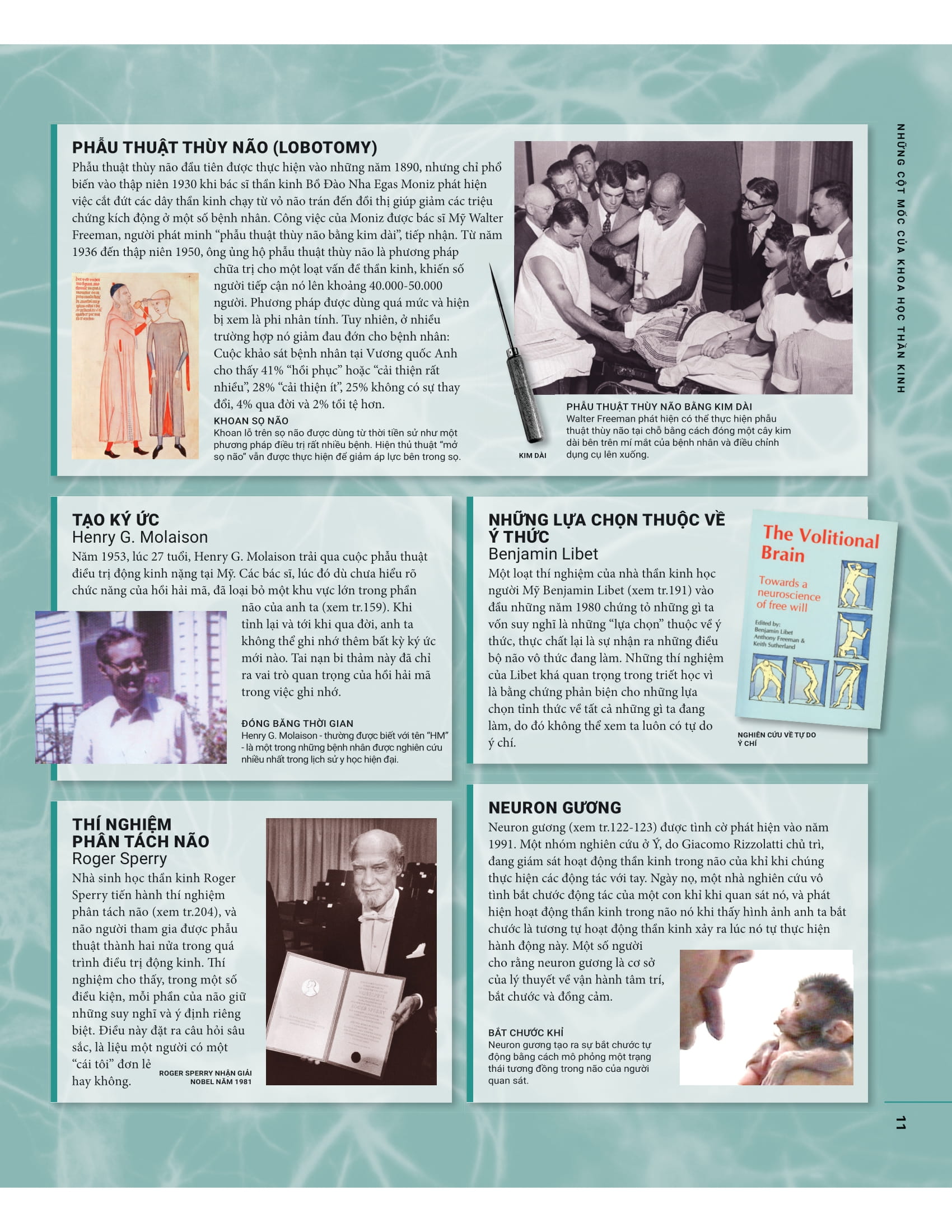 the brain book - não chúng ta có gì và làm gì? - bìa cứng - Ảnh 11