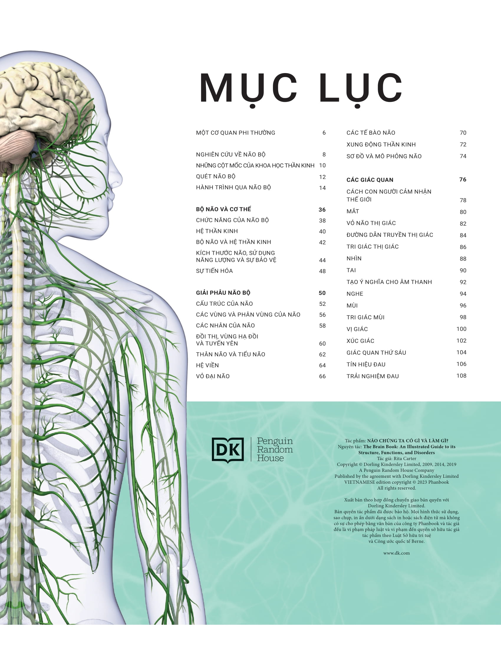 the brain book - não chúng ta có gì và làm gì? - bìa cứng - Ảnh 4