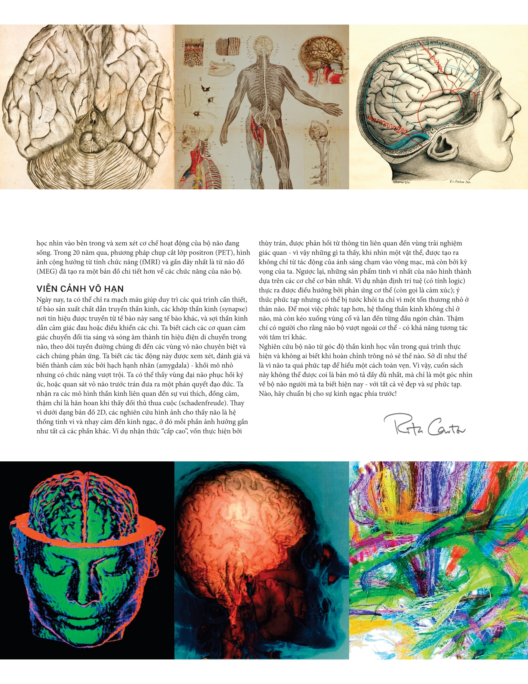 the brain book - não chúng ta có gì và làm gì? - bìa cứng - Ảnh 7