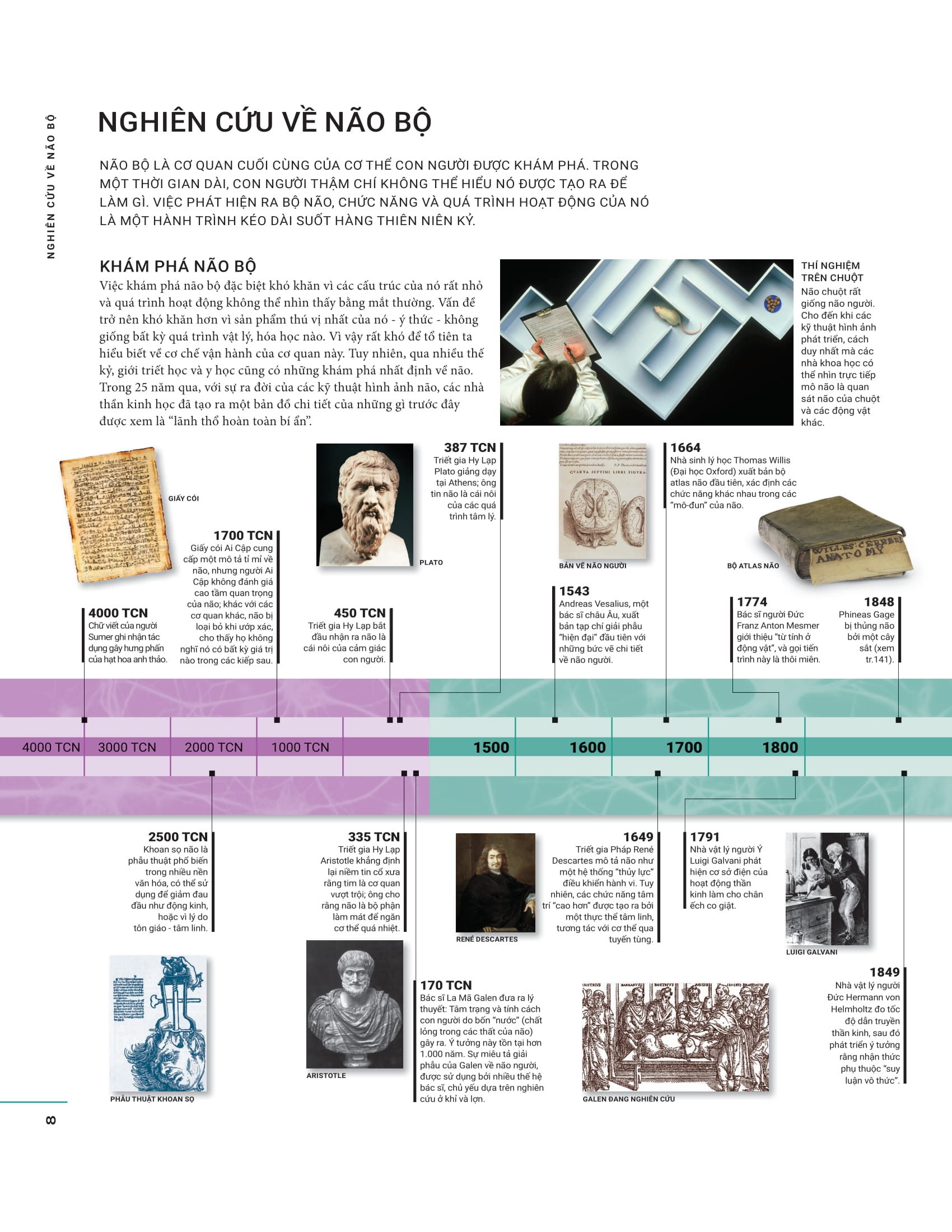 the brain book - não chúng ta có gì và làm gì? - bìa cứng - Ảnh 8