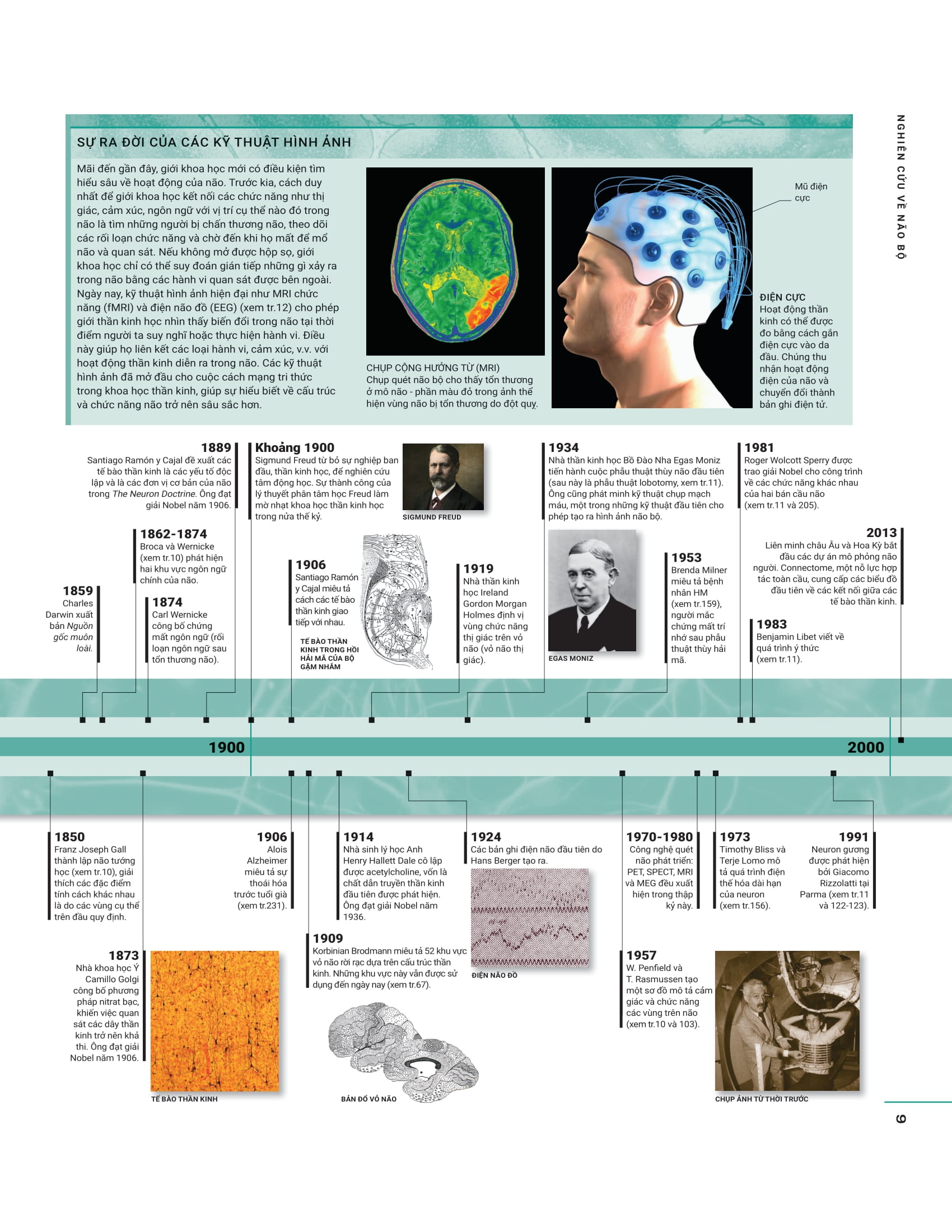 the brain book - não chúng ta có gì và làm gì? - bìa cứng - Ảnh 9