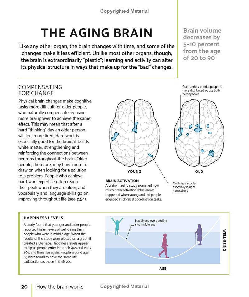 the brain fitness book: activities and puzzles to keep your mind active and healthy - Ảnh 11
