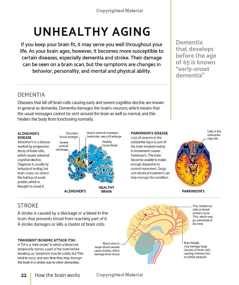 the brain fitness book: activities and puzzles to keep your mind active and healthy - Ảnh 13