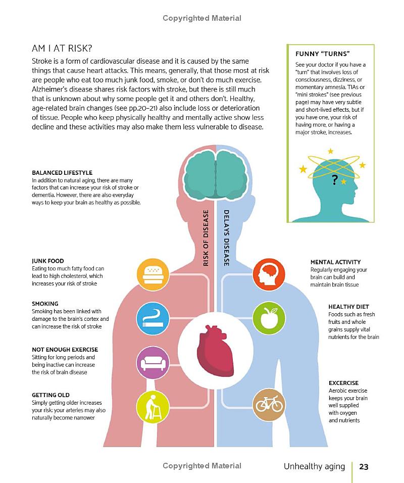 the brain fitness book: activities and puzzles to keep your mind active and healthy - Ảnh 14