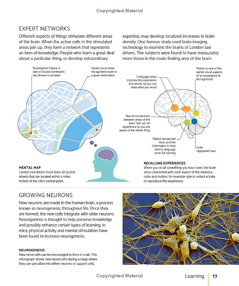 the brain fitness book: activities and puzzles to keep your mind active and healthy - Ảnh 8