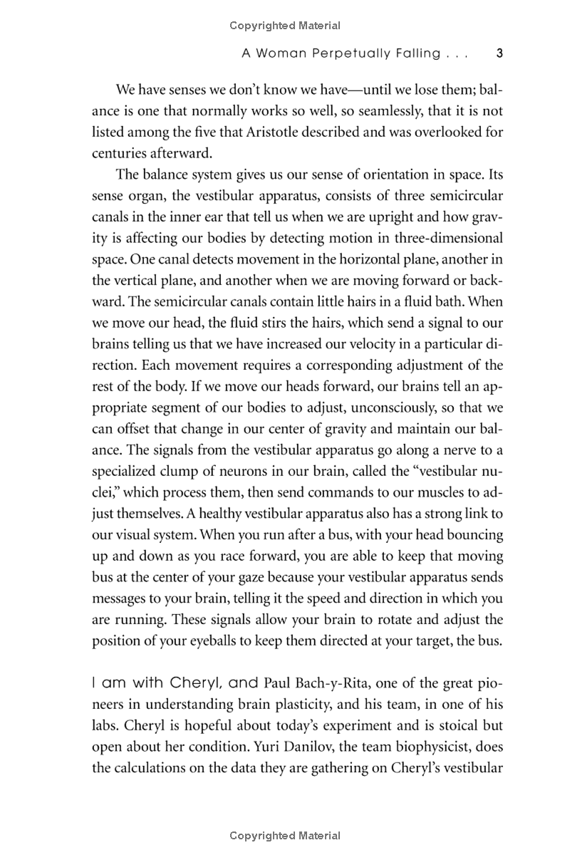 the brain that changes itself: stories of personal triumph from the frontiers of brain science - Ảnh 7