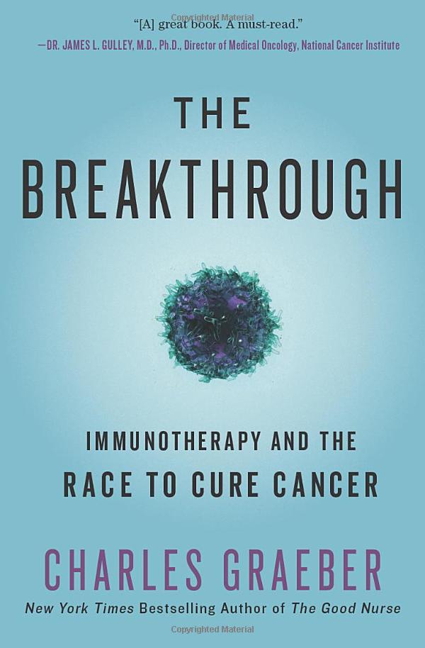 the breakthrough - Ảnh 2