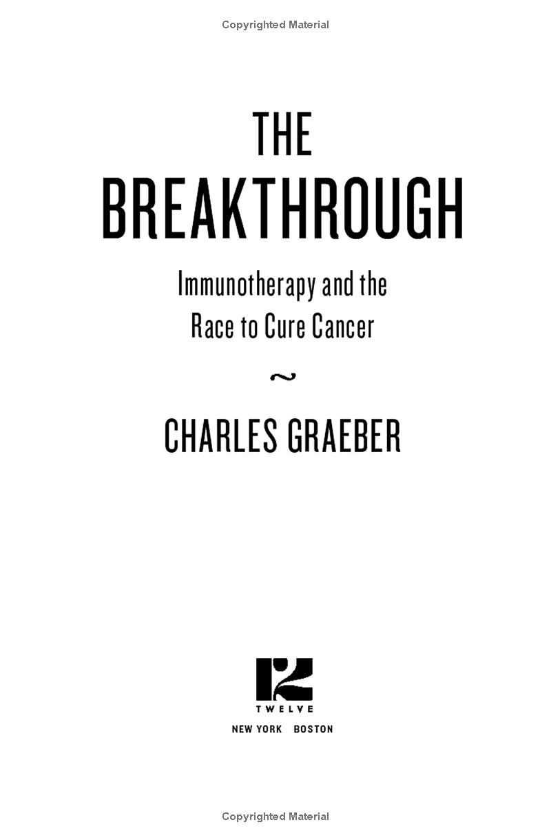 the breakthrough - Ảnh 4