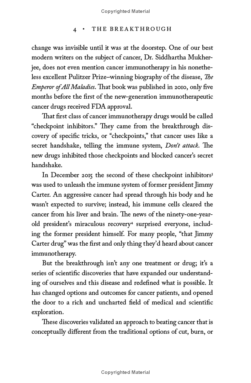 the breakthrough - Ảnh 9