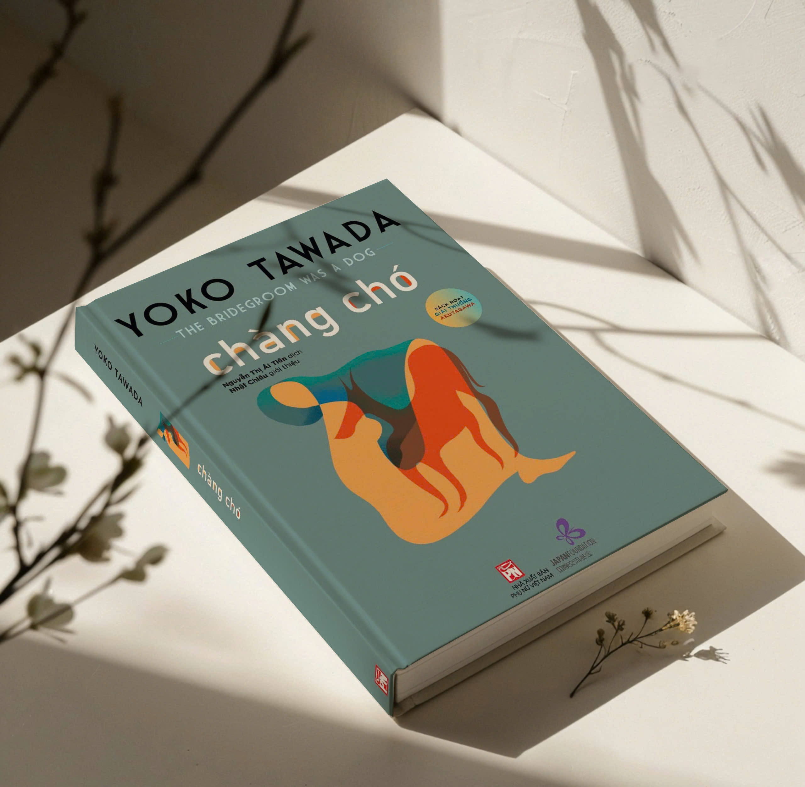 the bridegroom was a dog - chàng chó - Ảnh 3