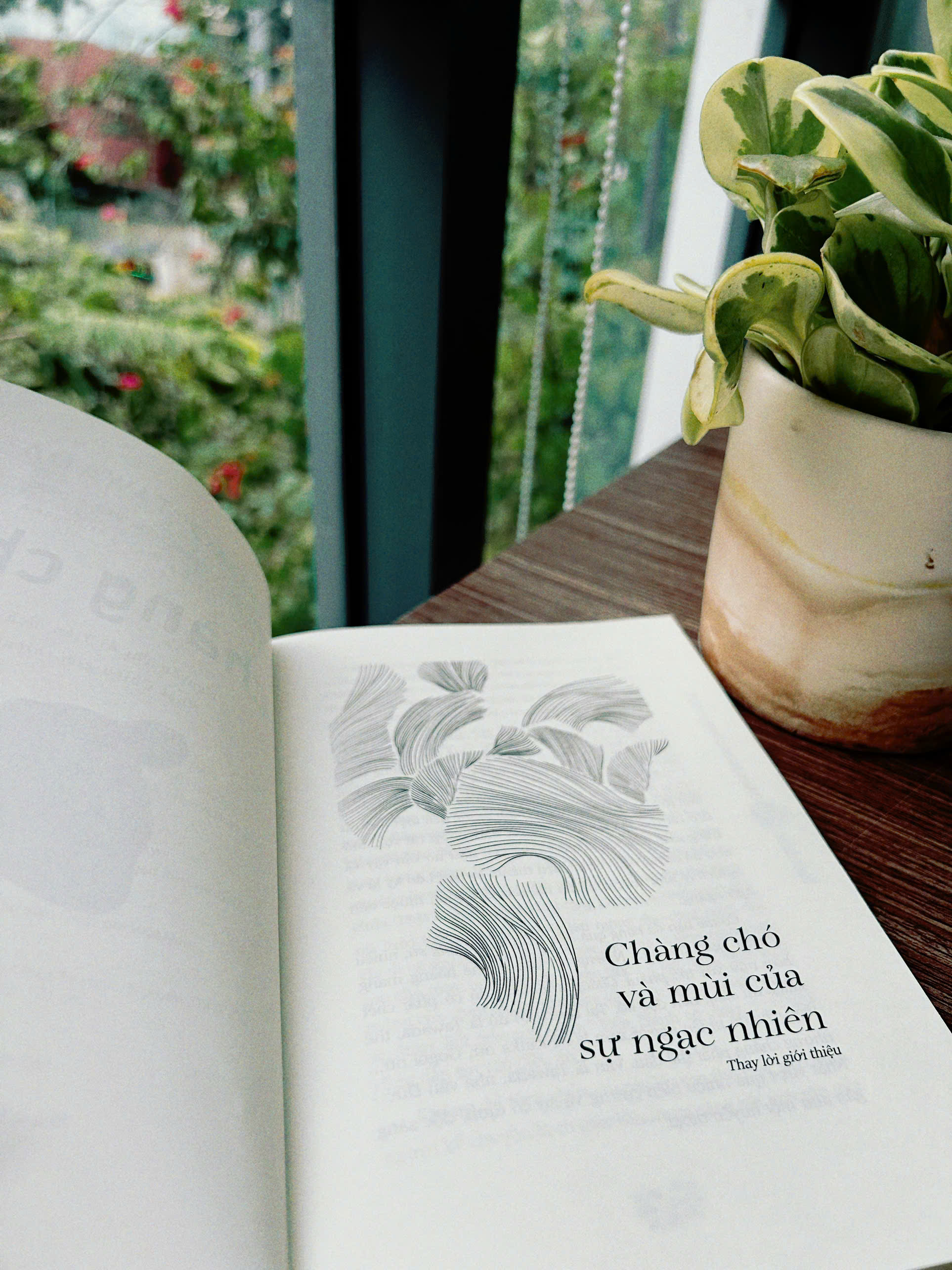 the bridegroom was a dog - chàng chó - Ảnh 4