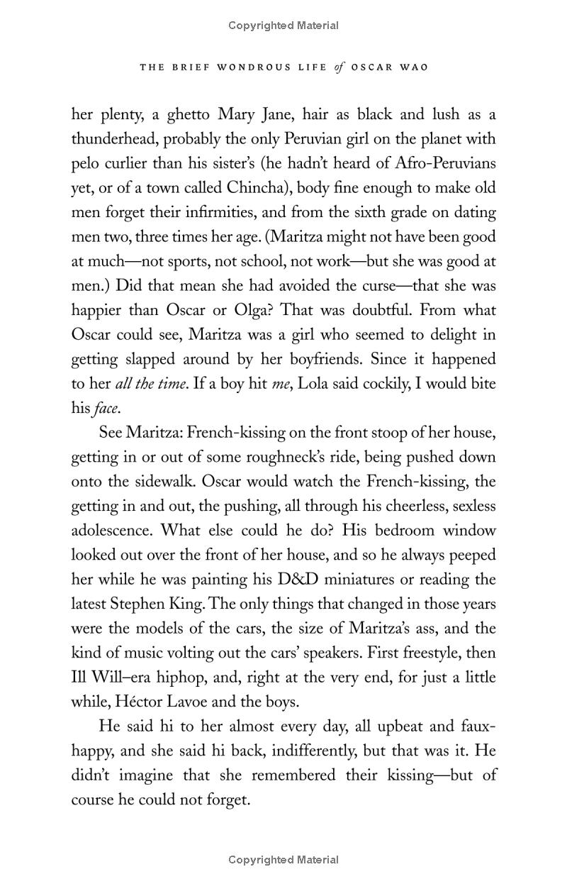 the brief wondrous life of oscar wao - Ảnh 10