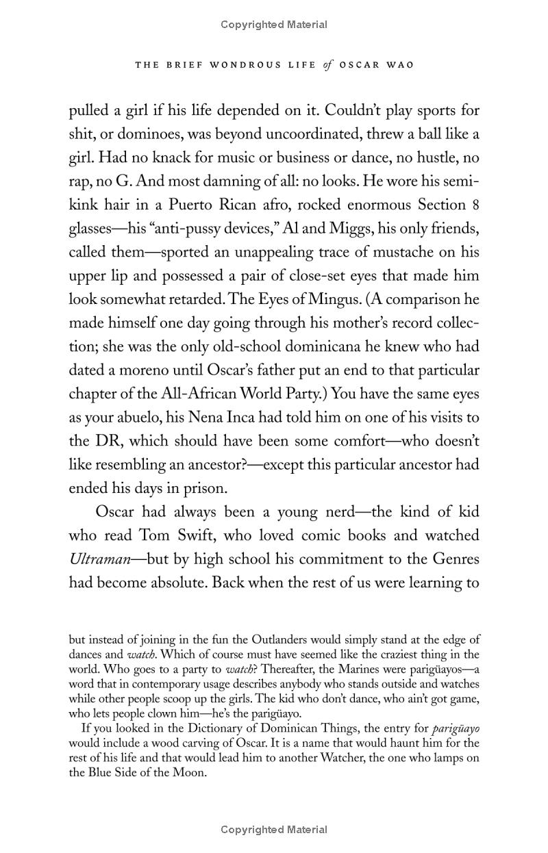 the brief wondrous life of oscar wao - Ảnh 12