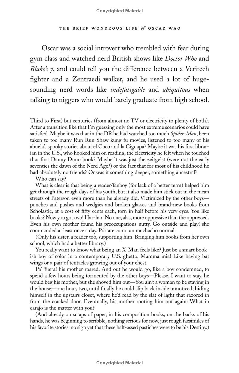 the brief wondrous life of oscar wao - Ảnh 14