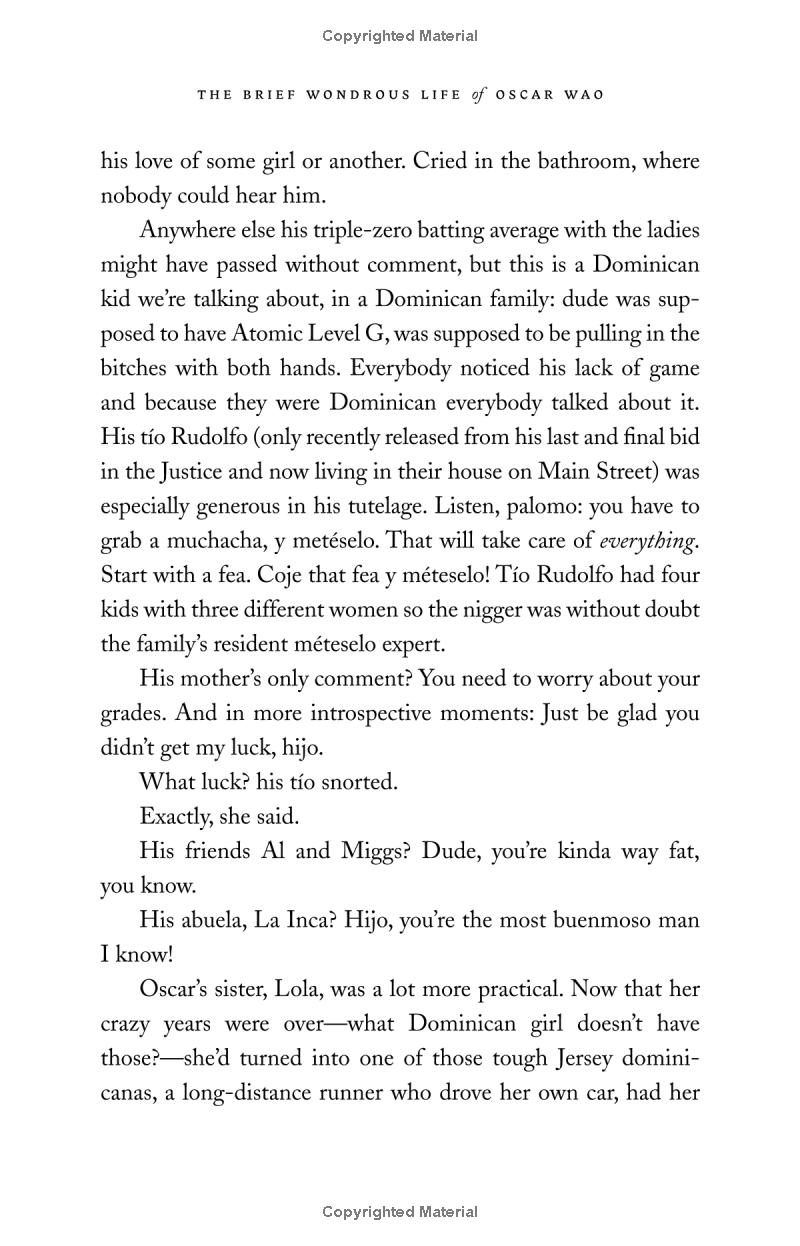 the brief wondrous life of oscar wao - Ảnh 16