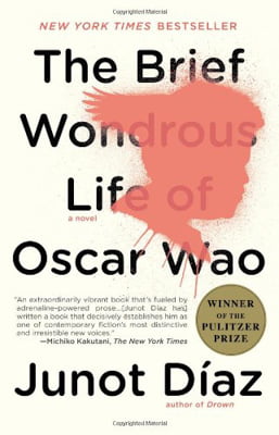 the brief wondrous life of oscar wao - Ảnh 2