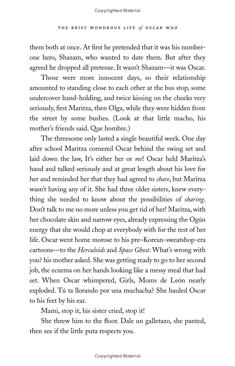 the brief wondrous life of oscar wao - Ảnh 7