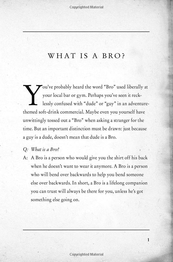 the bro code - Ảnh 5