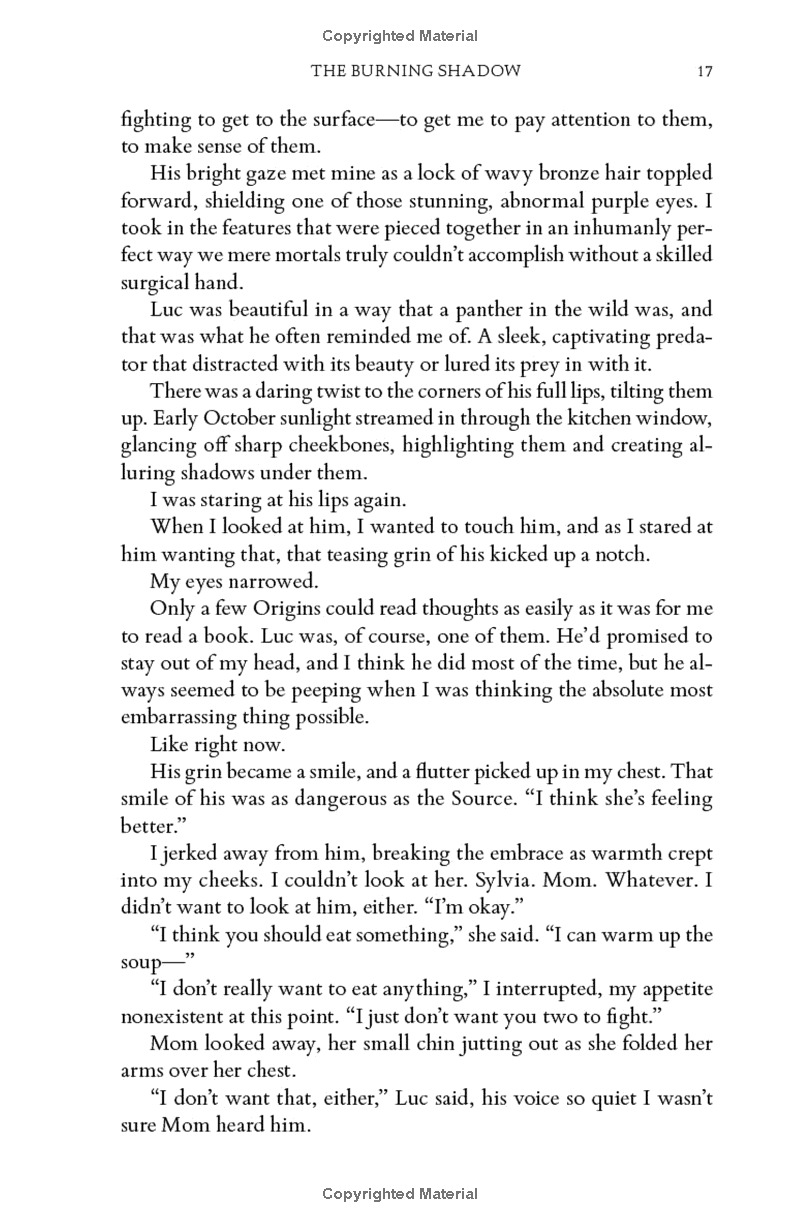 the burning shadow - Ảnh 12