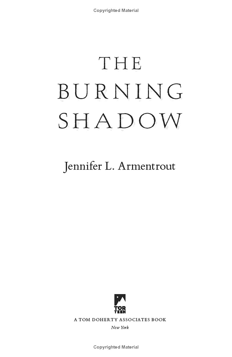 the burning shadow - Ảnh 4