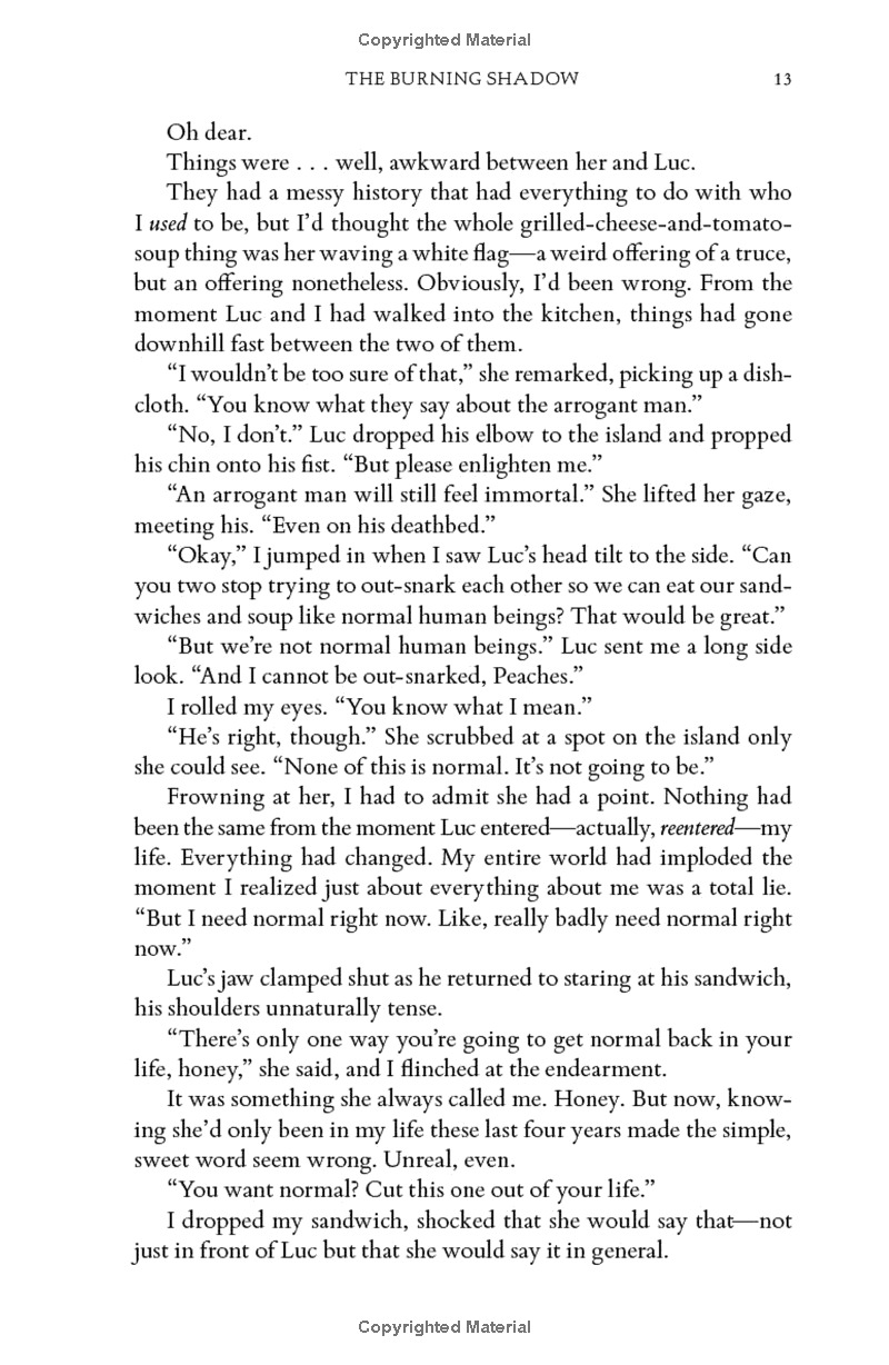 the burning shadow - Ảnh 8