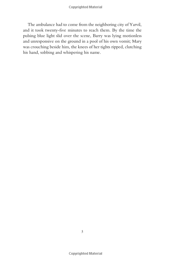 the casual vacancy - Ảnh 10