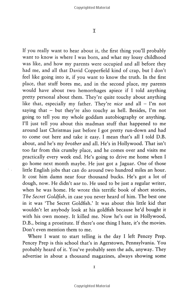 the catcher in the rye - Ảnh 3