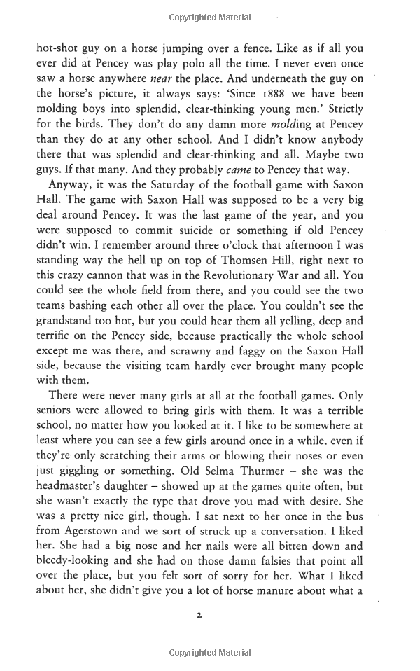 the catcher in the rye - Ảnh 4