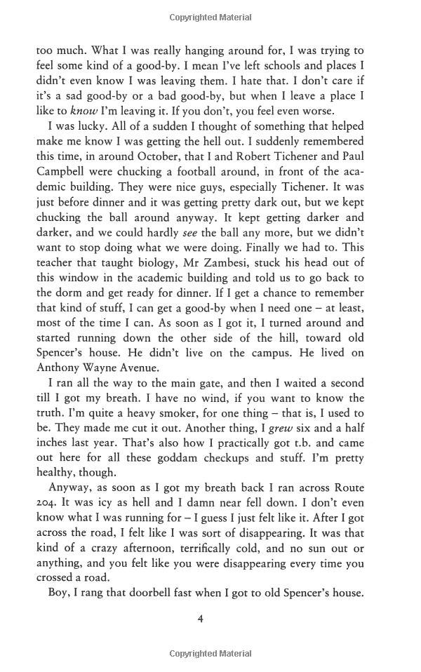 the catcher in the rye - Ảnh 6