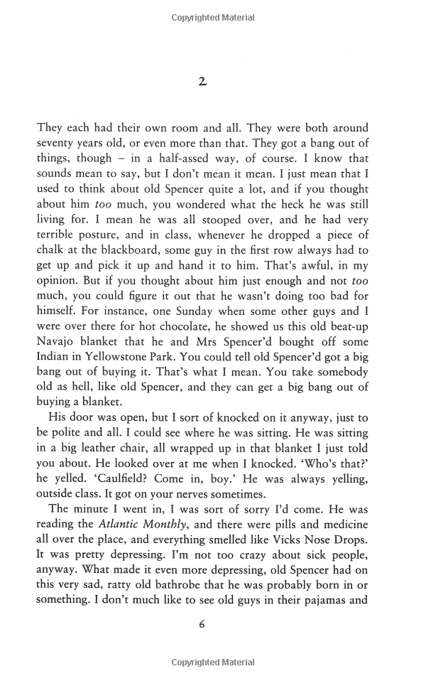 the catcher in the rye - Ảnh 8