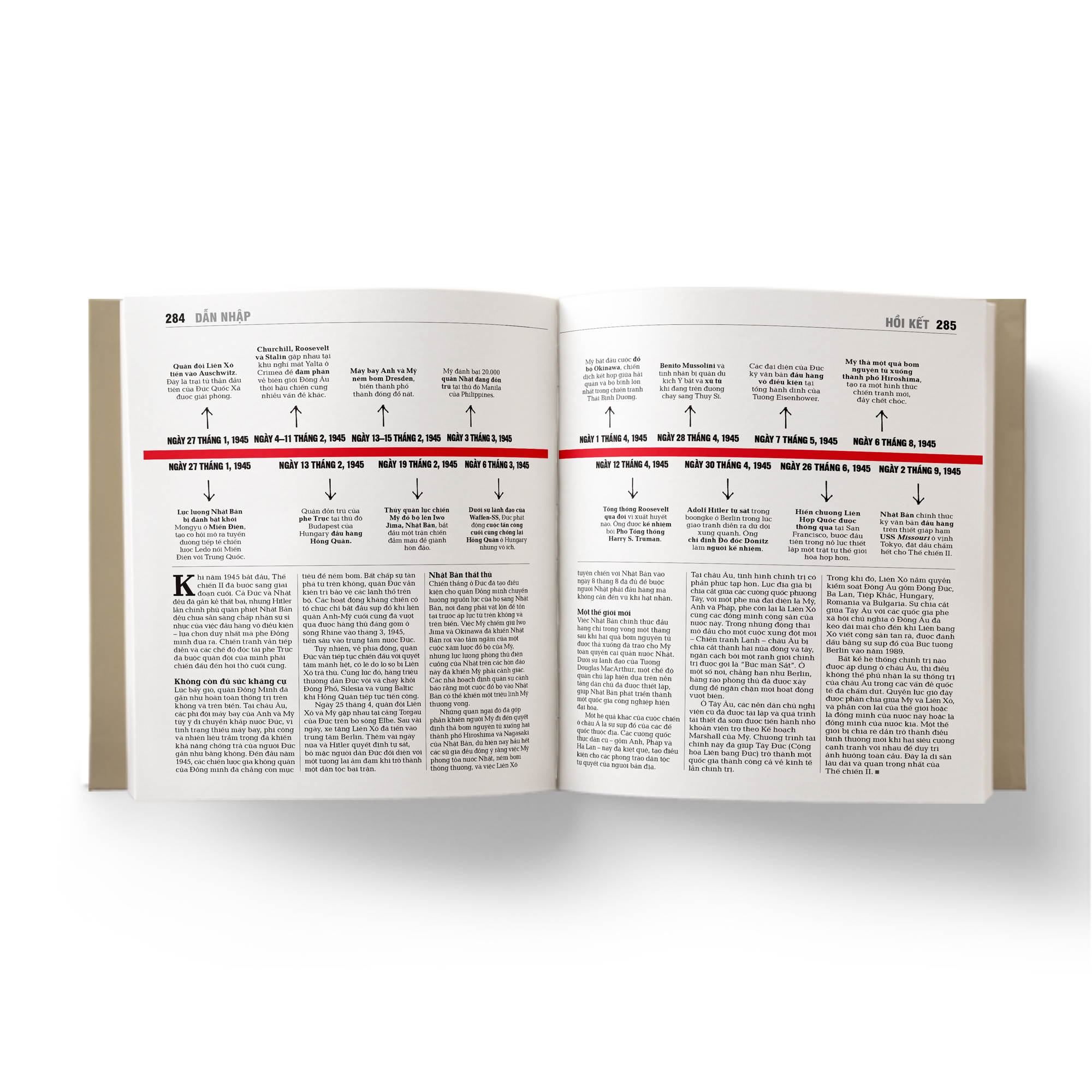 thế chiến ii - khái lược những tư tưởng lớn - bìa cứng - Ảnh 11
