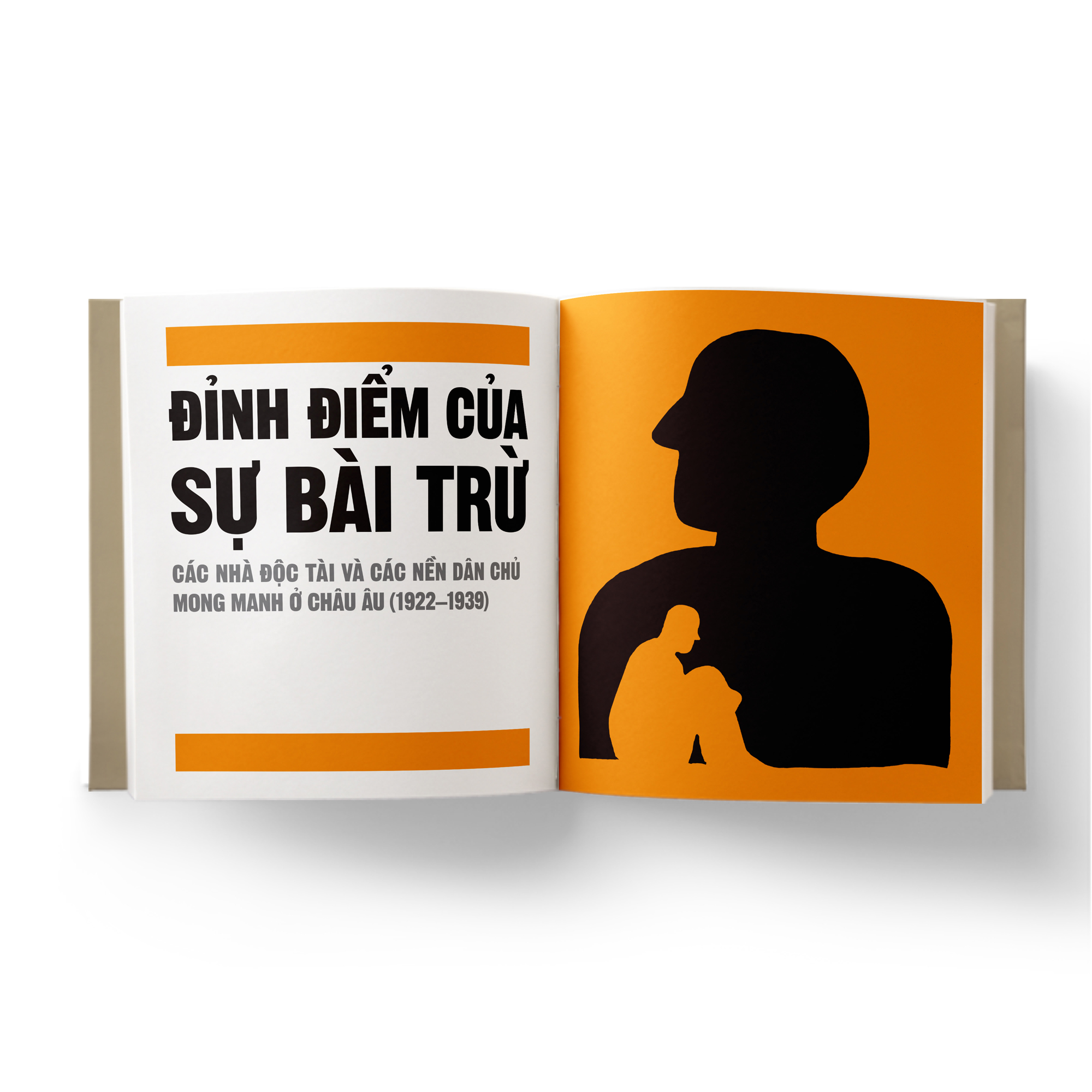 thế chiến ii - khái lược những tư tưởng lớn - bìa cứng - Ảnh 7