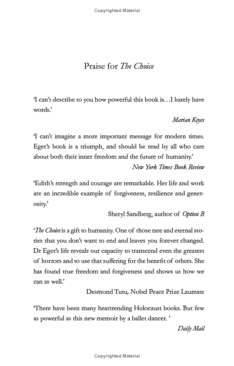 the choice - Ảnh 3