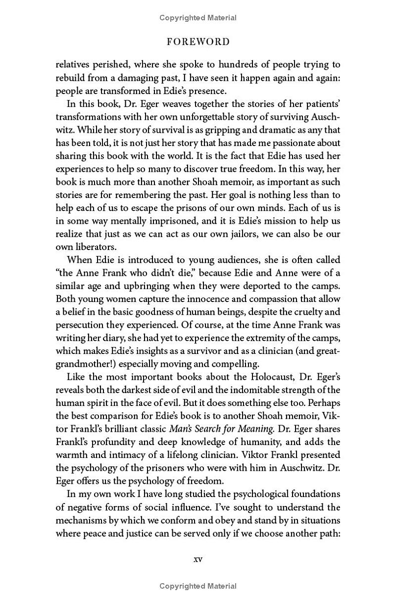 the choice: embrace the possible - Ảnh 13