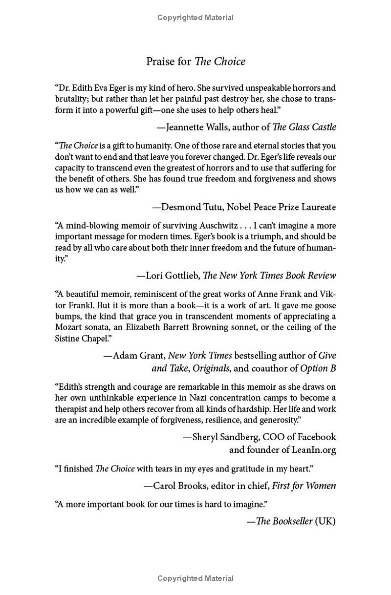 the choice: embrace the possible - Ảnh 3